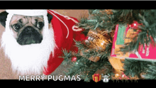 Pug Merry GIF - Pug Merry Christmas GIFs