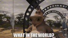 madagascar gloria what in the world what the heck wth madagascar gloria what in the world what the heck wth