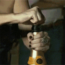 Andrea Nobrega Champagne GIF - Andrea Nobrega Champagne Cheers GIFs