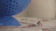 Marcel The Shell With Shoes On Talking GIF - Marcel The Shell With Shoes On Talking Im Glad You Like It GIFs