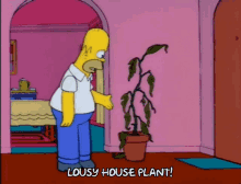 Homer Strangle GIF - Homer Strangle Houseplant GIFs
