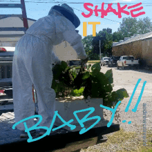 Shake It Shake It Baby GIF - Shake It Shake It Baby Plant GIFs