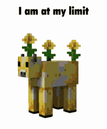 Minecraft Minecraft Memes GIF - Minecraft Minecraft Memes Moobloom GIFs