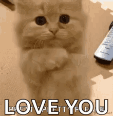 I Love You Kitty Gifs Tenor