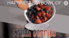 Fresh Berrie Happiness GIF - Fresh Berrie Happiness Berrie GIFs