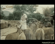 Goundamani Argue With Donkey GIF - Goundamani Argue With Donkey Mad GIFs