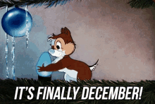 December GIF - December Chipmunk Christmas GIFs