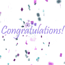 Congrats Congratulations GIF - Congrats Congratulations You Did It GIFs