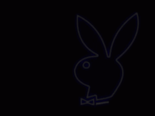 Playboy Bunny GIF.