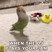 When The Dj Plays Your Jam Disk Jockey GIF - When The Dj Plays Your Jam Disk Jockey Dj GIFs