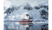 Cruise Antarctic GIF - Cruise Antarctic GIFs