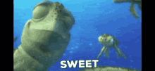 Finding Nemo Sweet GIF - Finding Nemo Sweet Disney GIFs