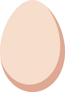 an ordinary egg egg beige egg oval egg shape