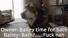 Oh Hell No Dog GIF - Oh Hell No Dog Bath GIFs