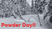 Powder Day Ski GIF - Powder Day Ski Skiing GIFs
