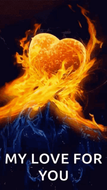 i love you so much love yah heart on fire my love for you i love you so much love yah heart on fire my love for you