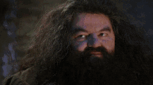 Wizard Harry Potter GIF - Wizard Harry Potter Youre A Wizard GIFs