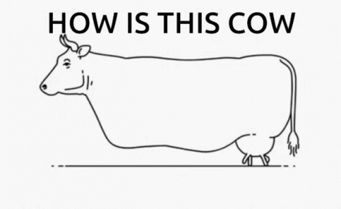 Penis Cow