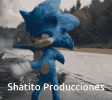 Sonic Luizdoro GIF - Sonic Luizdoro Shatito GIFs