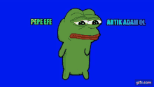 Pepe Efe GIF - Pepe Efe GIFs
