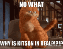 Kitson Neil Cicierega GIF - Kitson Neil Cicierega Garfield GIFs