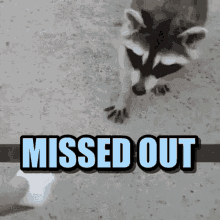 Missed Out You Missed Out GIF - Missed Out You Missed Out Snatch GIFs