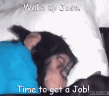 Wake Up Jose GIF - Wake Up Jose GIFs