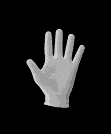 Hand Palm GIF - Hand Palm Hi GIFs
