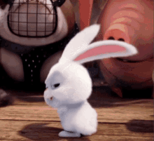 Bunny Shake It GIF - Bunny Shake It Smiling GIFs