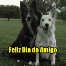 / Feliz Dia Do Amigo /  Melhor Amigo / Amiga GIF - Doggo Friendship Day Friends GIFs