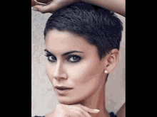 pixie 11255 pixie 11255