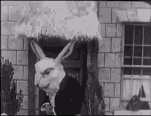 Angry Rabbit GIF - Angry Rabbit GIFs