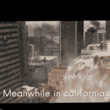 Today Is Not The Day Earthquake GIF - Today Is Not The Day Earthquake 4th Of July GIFs