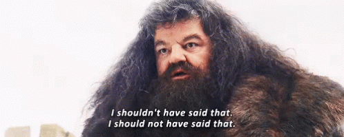 Hagrid Harry Potter GIF - Hagrid Harry Potter Shouldnt Have Said That GIFs