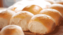 bread rolls bald funny face bunny bread rolls bald funny face bunny