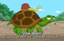 Slow Down! Snail Snail GIF - Snail Turtle Slow Down GIFs