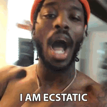 Ecstatic Thrilled GIF - Ecstatic Thrilled Happy GIFs