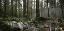 Crossing Swamp GIF - Crossing Swamp Balancing GIFs