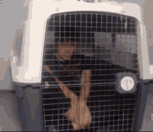 Cemcem Cage GIF - Cemcem Cage Dog Cage GIFs