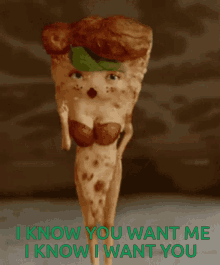 Pizza Pitbull GIF - Pizza Pitbull I Know You Want Me GIFs