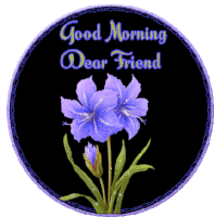 Good Morning Purple Amaryllsis Sticker - Good Morning Purple Amaryllsis Dear Friend Stickers