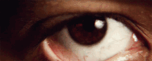 Red Eyes Beautiful GIF - Red Eyes Beautiful Ruby Red GIFs