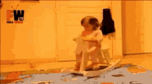 horse falling