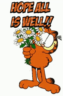 Hope All Is Well Garfield GIF - Hope All Is Well Garfield Flowers GIFs