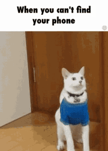 Cat Looking For Phone GIF - Cat Looking For Phone Where Is It GIFs