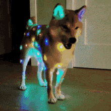 Doggo Xmas Lights GIF - Doggo Xmas Lights Christmas GIFs