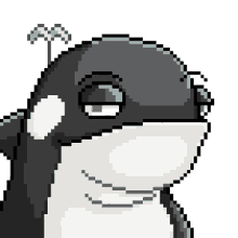 orca