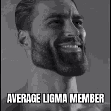 Average Ligma Member Ligma Sigma GIF - Average Ligma Member Ligma Ligma Sigma GIFs