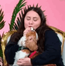 Theo The Morning Toast GIF - Theo The Morning Toast Dog GIFs