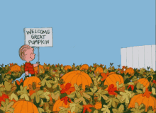 Great Pumpkin GIF - Pumpkin Charlie Brown Pumpkin Patch GIFs
